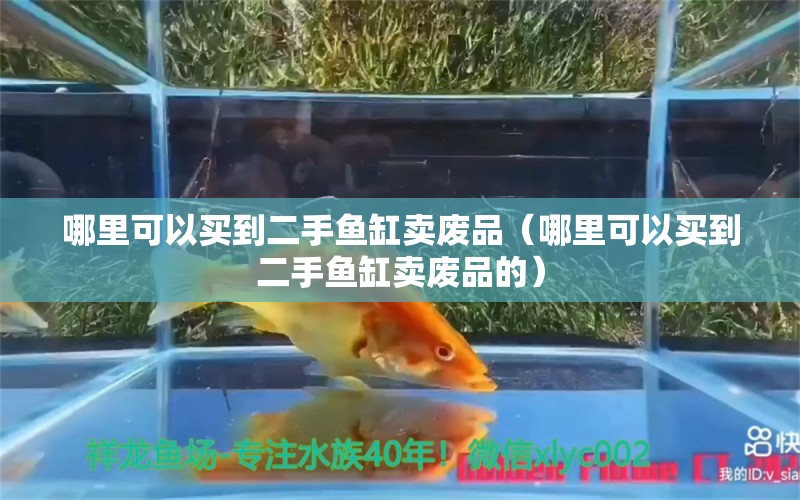 哪里可以买到二手鱼缸卖废品（哪里可以买到二手鱼缸卖废品的）