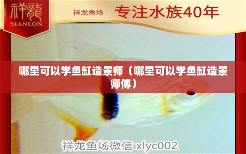 哪里可以学鱼缸造景师（哪里可以学鱼缸造景师傅） 祥龙水族医院