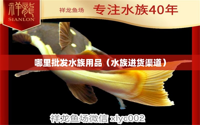 哪里批发水族用品（水族进货渠道）