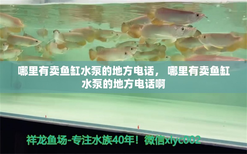 哪里有卖鱼缸水泵的地方电话， 哪里有卖鱼缸水泵的地方电话啊 恐龙王鱼