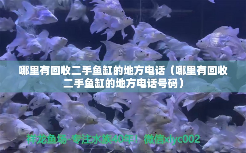 哪里有回收二手鱼缸的地方电话（哪里有回收二手鱼缸的地方电话号码）