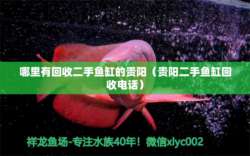 哪里有回收二手鱼缸的贵阳（贵阳二手鱼缸回收电话）