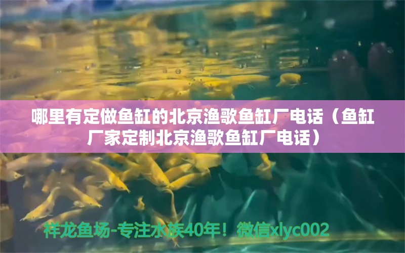 哪里有定做鱼缸的北京渔歌鱼缸厂电话（鱼缸厂家定制北京渔歌鱼缸厂电话）