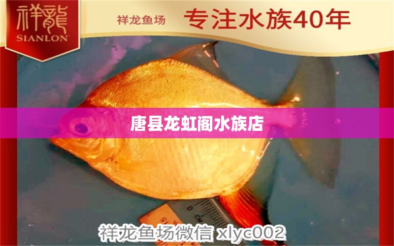 唐县龙虹阁水族店 全国水族馆企业名录