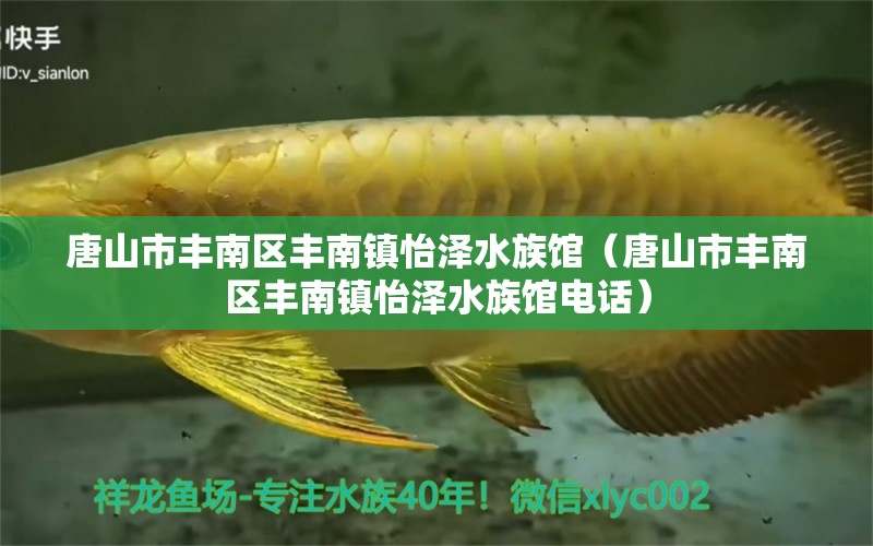 唐山市丰南区丰南镇怡泽水族馆（唐山市丰南区丰南镇怡泽水族馆电话）