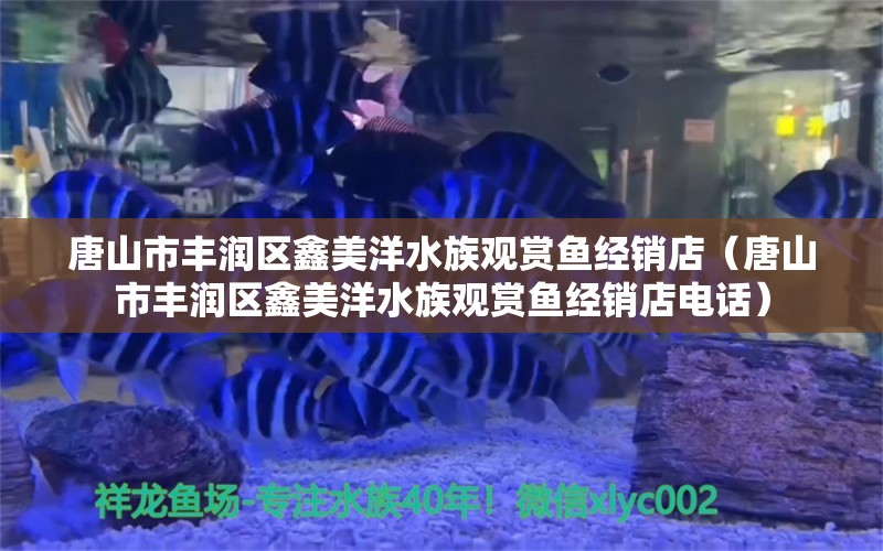 唐山市丰润区鑫美洋水族观赏鱼经销店（唐山市丰润区鑫美洋水族观赏鱼经销店电话）