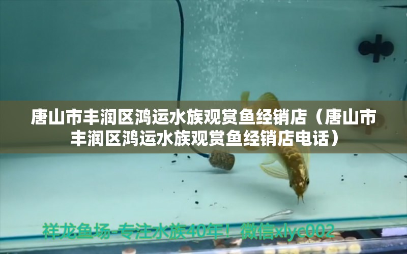 唐山市丰润区鸿运水族观赏鱼经销店（唐山市丰润区鸿运水族观赏鱼经销店电话）