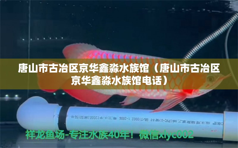 唐山市古冶区京华鑫淼水族馆（唐山市古冶区京华鑫淼水族馆电话） 全国水族馆企业名录