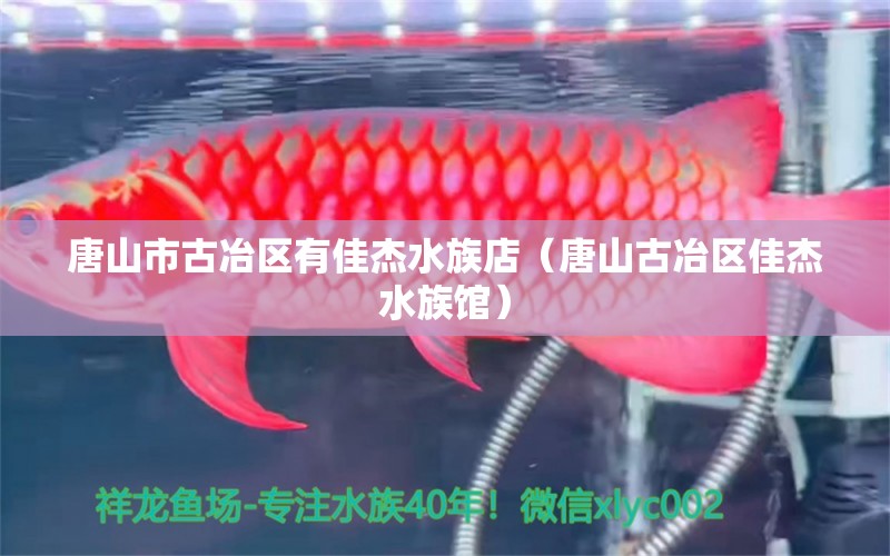 唐山市古冶区有佳杰水族店（唐山古冶区佳杰水族馆） 全国观赏鱼市场 第1张