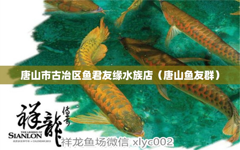 唐山市古冶区鱼君友缘水族店（唐山鱼友群）