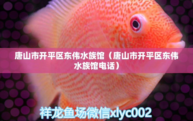 唐山市开平区东伟水族馆（唐山市开平区东伟水族馆电话） 全国水族馆企业名录