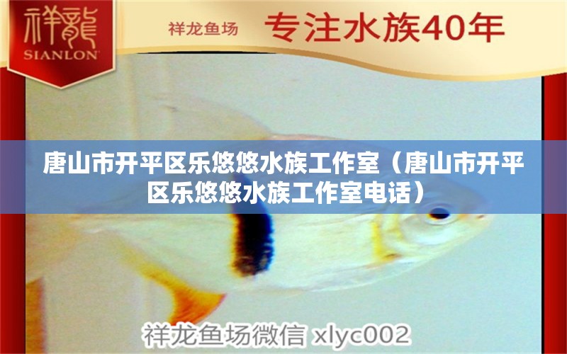 唐山市开平区乐悠悠水族工作室（唐山市开平区乐悠悠水族工作室电话）