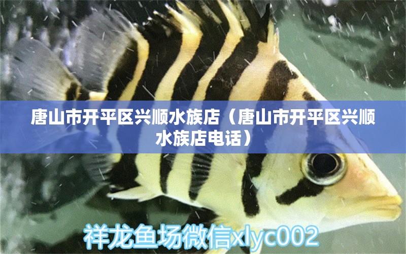 唐山市开平区兴顺水族店（唐山市开平区兴顺水族店电话） 全国水族馆企业名录