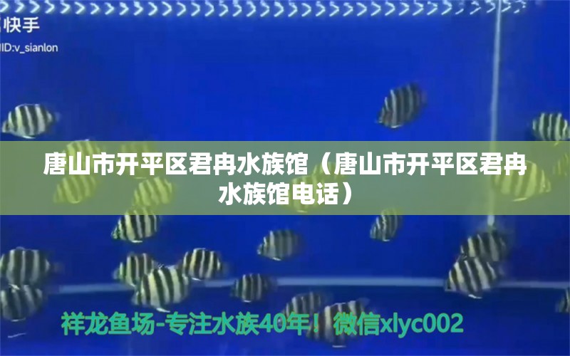 唐山市开平区君冉水族馆（唐山市开平区君冉水族馆电话）