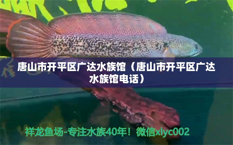 唐山市开平区广达水族馆（唐山市开平区广达水族馆电话）