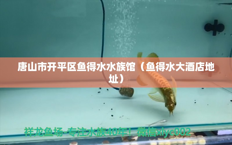 唐山市开平区鱼得水水族馆（鱼得水大酒店地址）