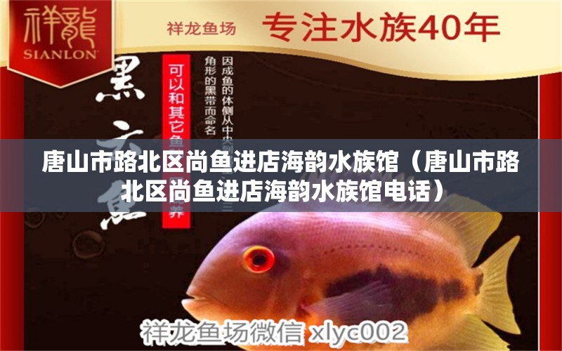 唐山市路北区尚鱼进店海韵水族馆（唐山市路北区尚鱼进店海韵水族馆电话）