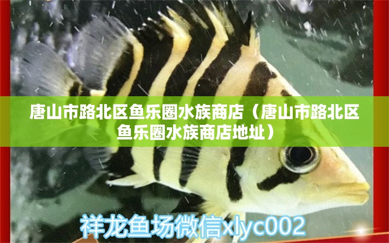 唐山市路北区鱼乐圈水族商店（唐山市路北区鱼乐圈水族商店地址）