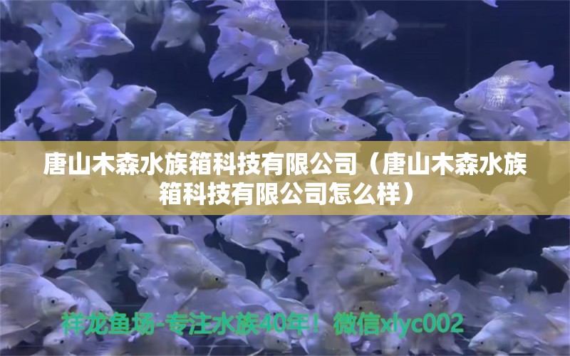 唐山木森水族箱科技有限公司（唐山木森水族箱科技有限公司怎么样）