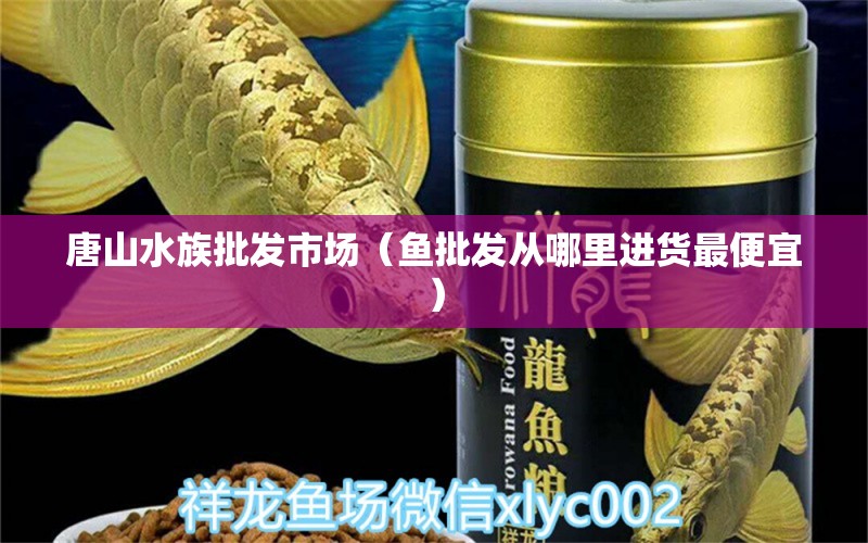 唐山水族批发市场（鱼批发从哪里进货最便宜） 观赏鱼水族批发市场