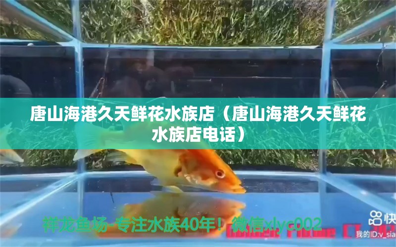 唐山海港久天鲜花水族店（唐山海港久天鲜花水族店电话）