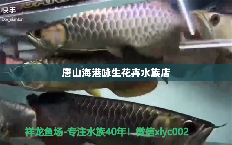 唐山海港咏生花卉水族店