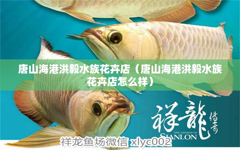 唐山海港洪毅水族花卉店（唐山海港洪毅水族花卉店怎么样） 全国水族馆企业名录