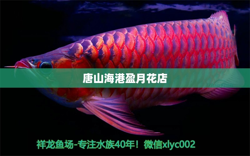 唐山海港盈月花店 全国水族馆企业名录