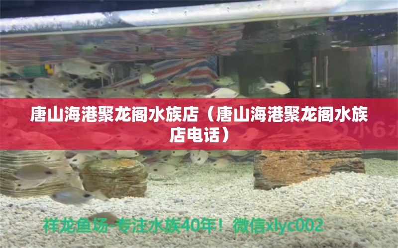 唐山海港聚龙阁水族店（唐山海港聚龙阁水族店电话） 全国水族馆企业名录