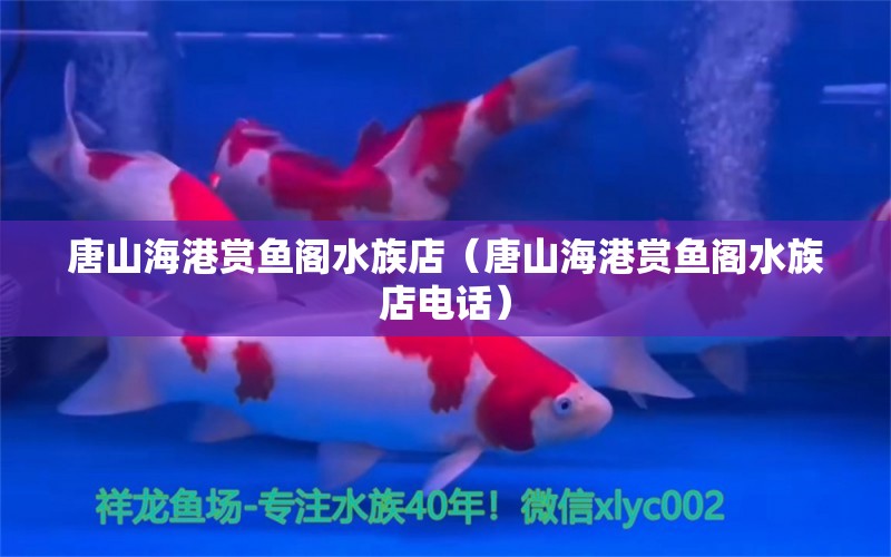 唐山海港赏鱼阁水族店（唐山海港赏鱼阁水族店电话）