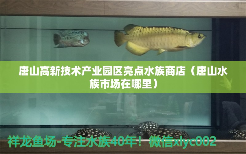 唐山高新技术产业园区亮点水族商店（唐山水族市场在哪里）