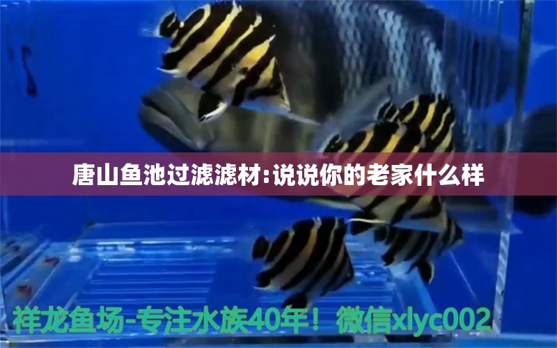 唐山鱼池过滤滤材:说说你的老家什么样 广州水族器材滤材批发市场