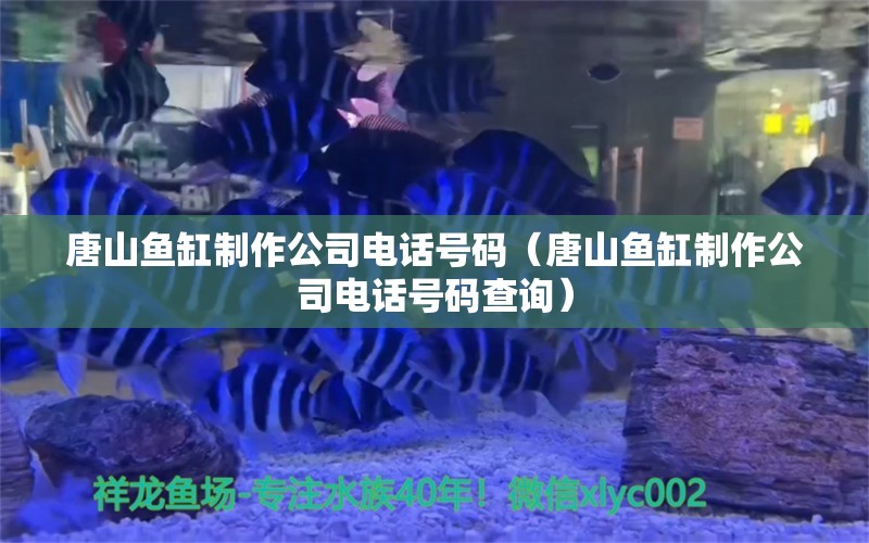 唐山鱼缸制作公司电话号码（唐山鱼缸制作公司电话号码查询）