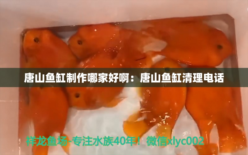 唐山鱼缸制作哪家好啊：唐山鱼缸清理电话