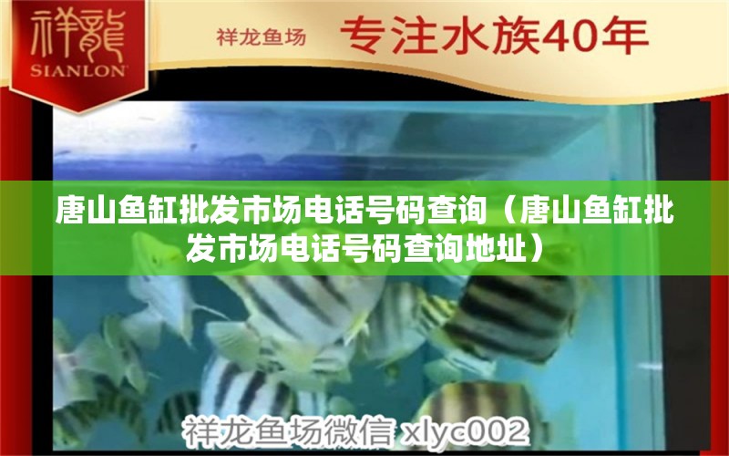 唐山鱼缸批发市场电话号码查询（唐山鱼缸批发市场电话号码查询地址） 观赏鱼市场（混养鱼）