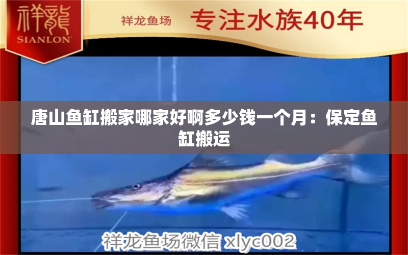 唐山鱼缸搬家哪家好啊多少钱一个月：保定鱼缸搬运 广州水族批发市场 第2张