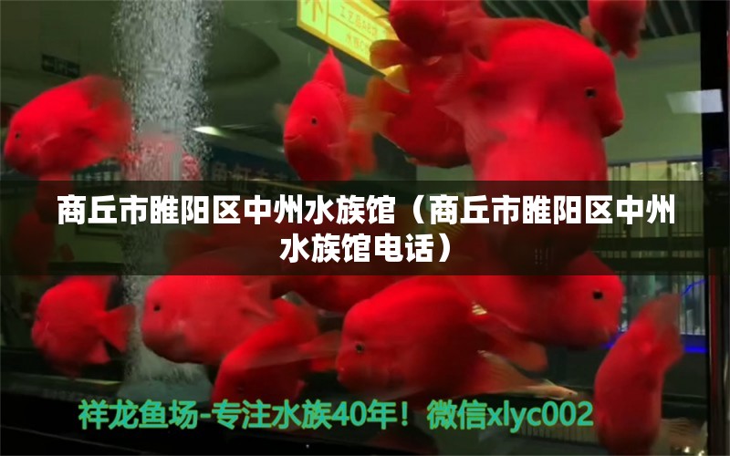 商丘市睢阳区中州水族馆（商丘市睢阳区中州水族馆电话） 全国水族馆企业名录