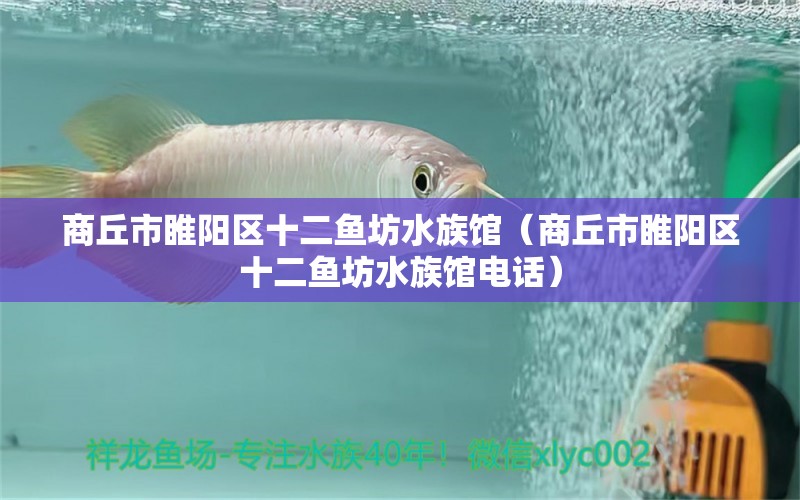 商丘市睢阳区十二鱼坊水族馆（商丘市睢阳区十二鱼坊水族馆电话）