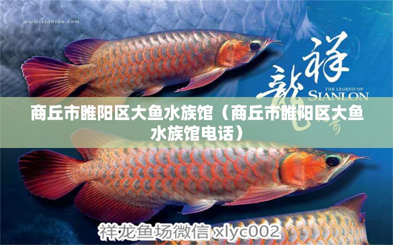 商丘市睢阳区大鱼水族馆（商丘市睢阳区大鱼水族馆电话）