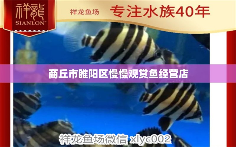 商丘市睢阳区慢慢观赏鱼经营店 全国水族馆企业名录 第1张