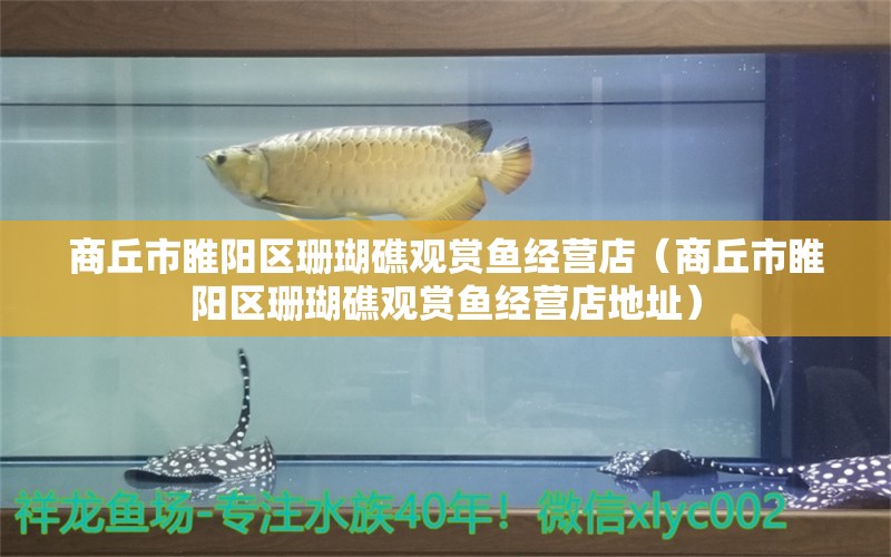 商丘市睢阳区珊瑚礁观赏鱼经营店（商丘市睢阳区珊瑚礁观赏鱼经营店地址）