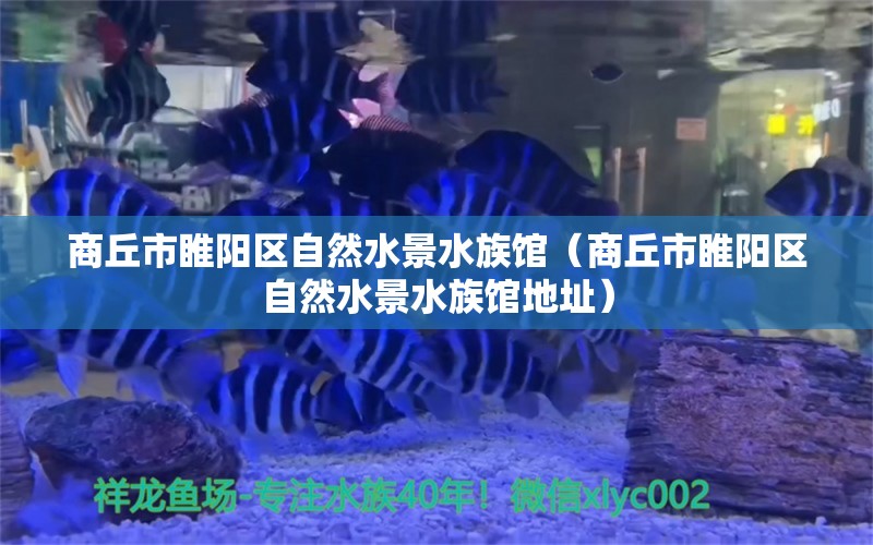 商丘市睢阳区自然水景水族馆（商丘市睢阳区自然水景水族馆地址） 全国水族馆企业名录