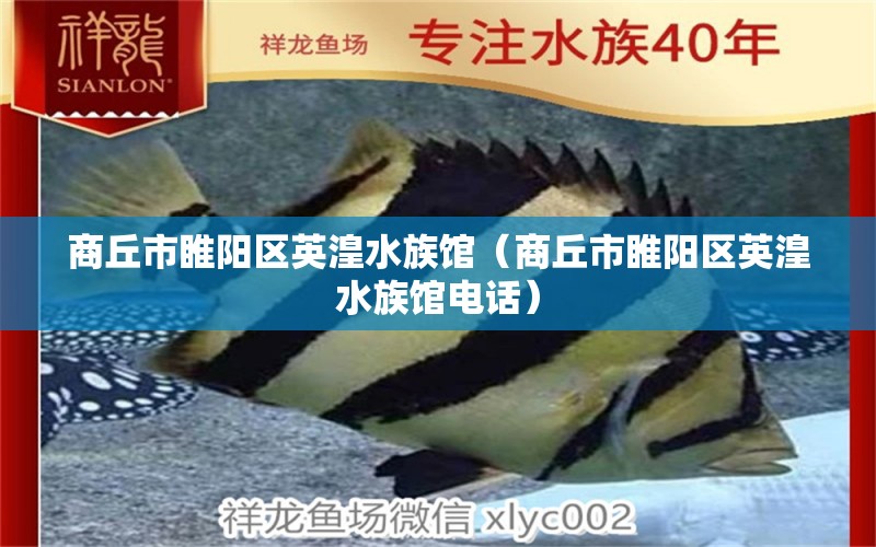 商丘市睢阳区英湟水族馆（商丘市睢阳区英湟水族馆电话） 全国水族馆企业名录