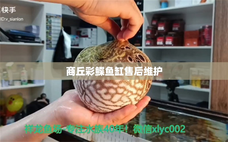 商丘彩鲽鱼缸售后维护