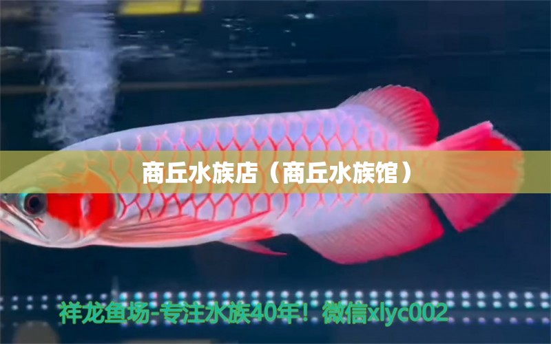 商丘水族店（商丘水族馆）