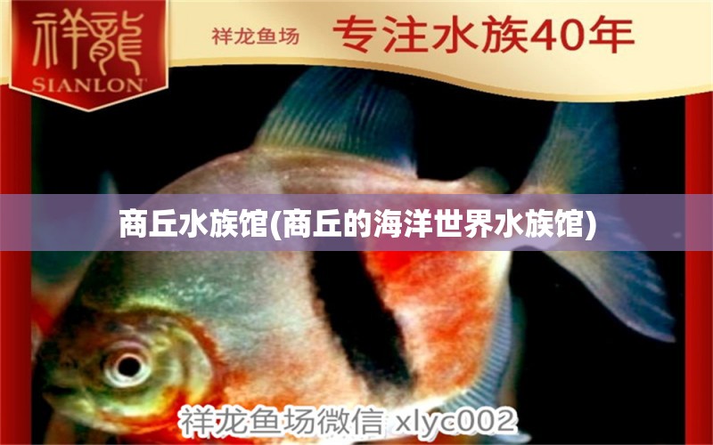 商丘水族馆(商丘的海洋世界水族馆) 稀有红龙品种