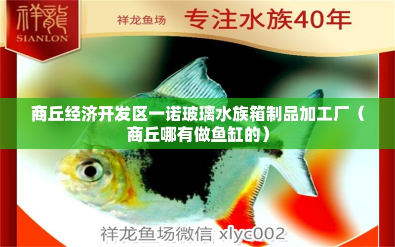 商丘经济开发区一诺玻璃水族箱制品加工厂（商丘哪有做鱼缸的） 鱼缸/水族箱