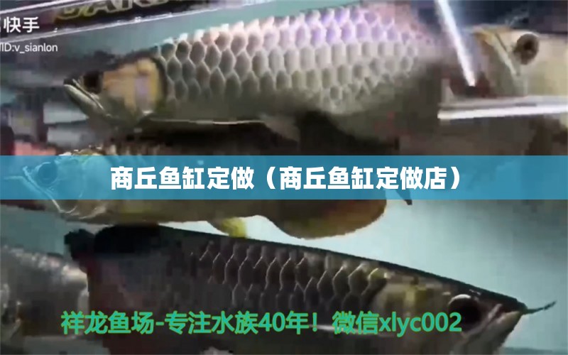 商丘鱼缸定做（商丘鱼缸定做店） 祥龙水族医院