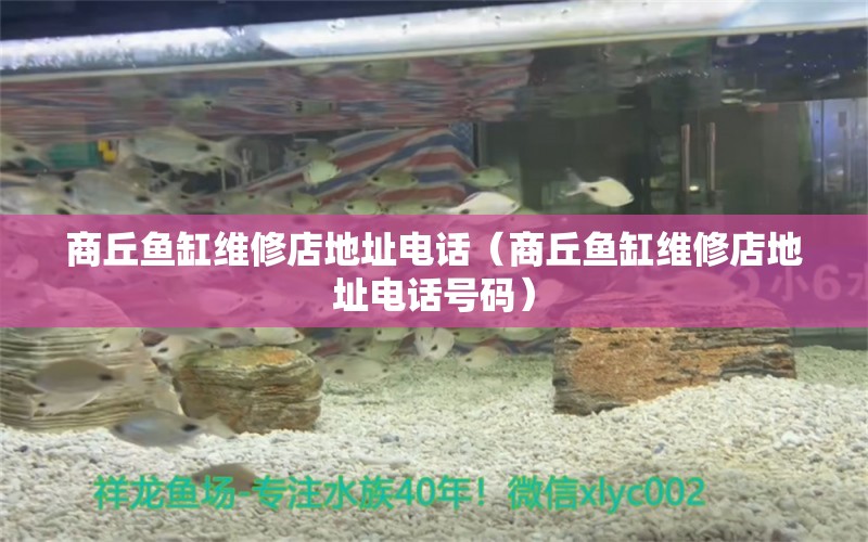 商丘鱼缸维修店地址电话（商丘鱼缸维修店地址电话号码） 量子养鱼技术