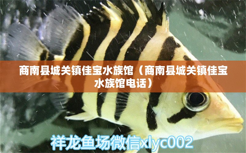 商南县城关镇佳宝水族馆（商南县城关镇佳宝水族馆电话）